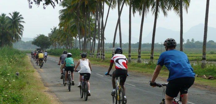 Baymaas Lakehouse Kochi - Cycling